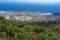 Un mar interior. El Mediterráneo como puente