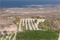 Volcanes y mar. El origen profundo de los vinos de Tenerife